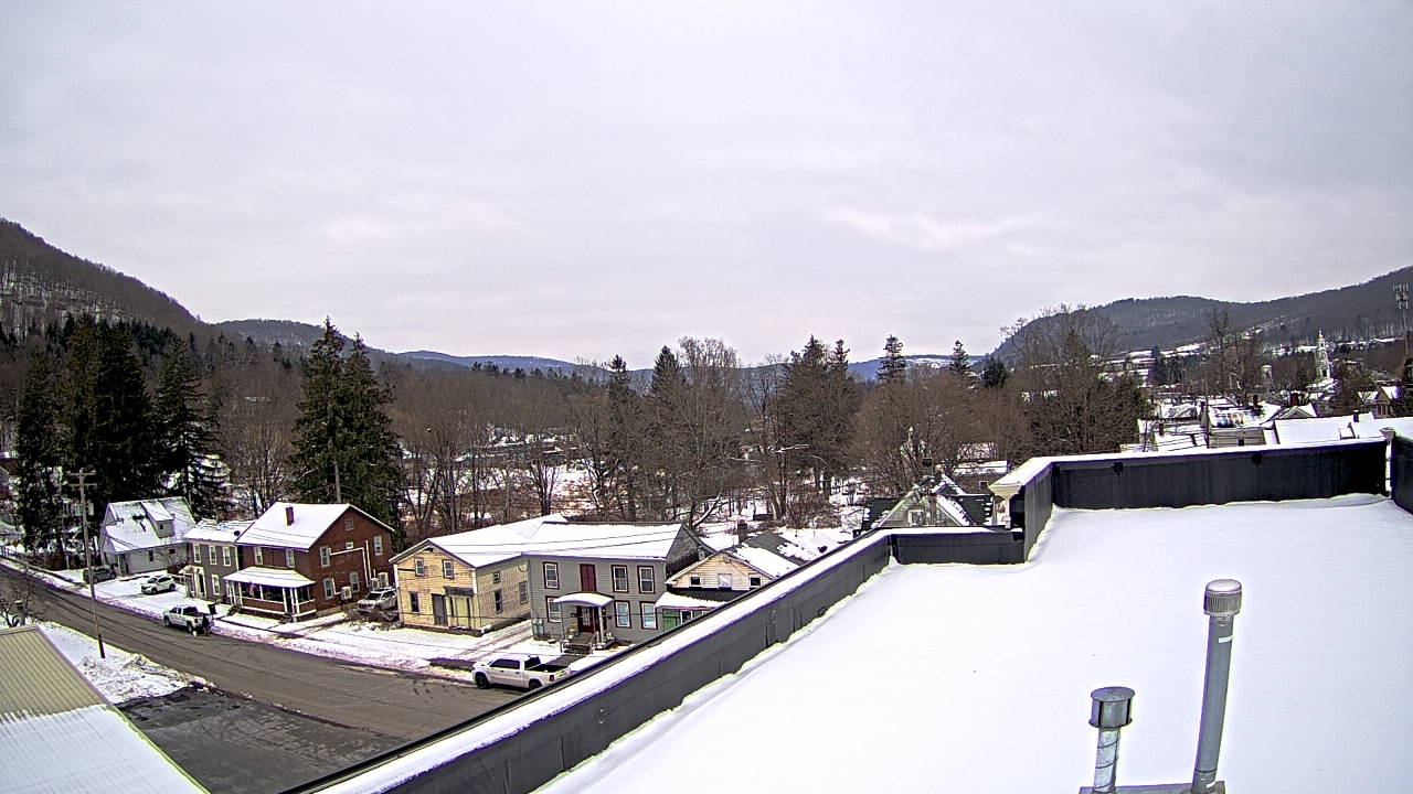 Thumbnail for current weather camera view from Delhi in Delhi, New York