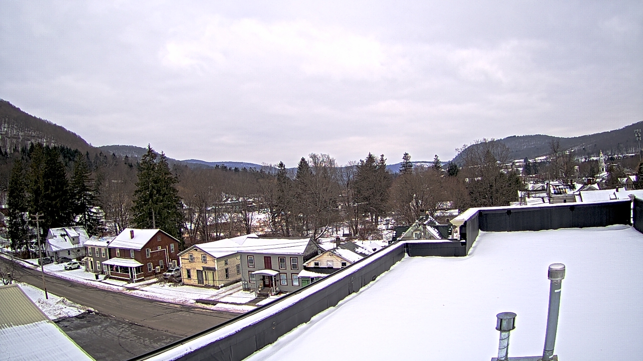 Thumbnail for current weather camera view from Delhi in Delhi, New York