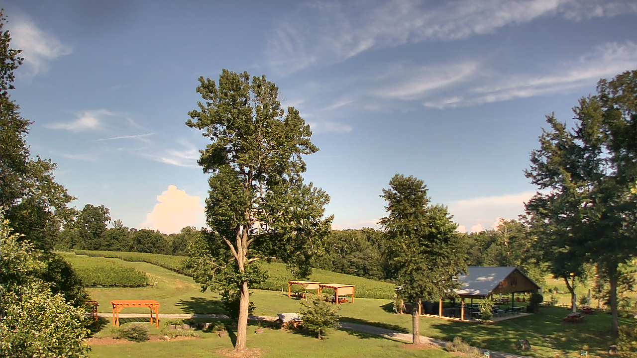 Thumbnail for current weather camera view from Dodon Vineyards in Davidsonville, Maryland