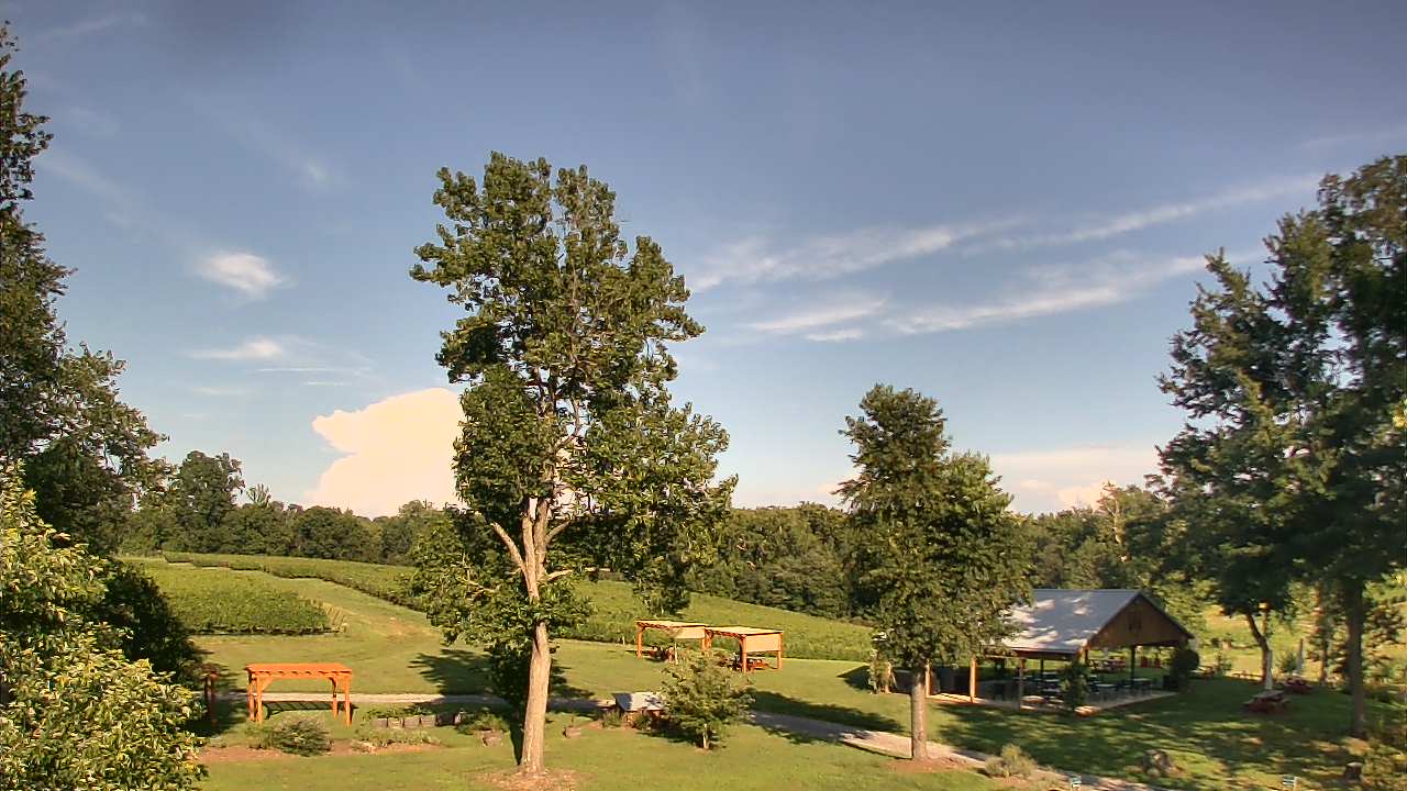 Thumbnail for current weather camera view from Dodon Vineyards in Davidsonville, Maryland