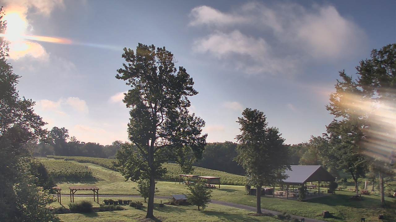 Thumbnail for current weather camera view from Dodon Vineyards in Davidsonville, Maryland