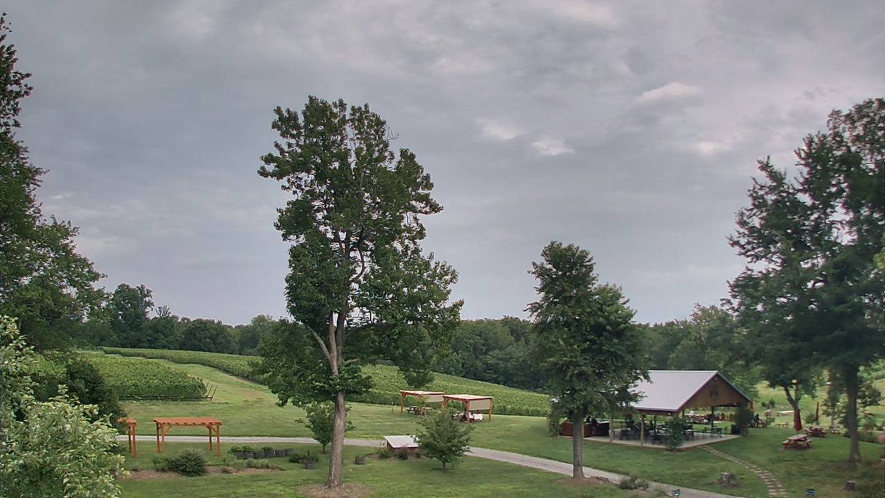 Thumbnail for current weather camera view from Dodon Vineyards in Davidsonville, Maryland
