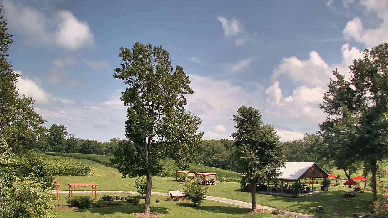 Thumbnail for current weather camera view from Dodon Vineyards in Davidsonville, Maryland