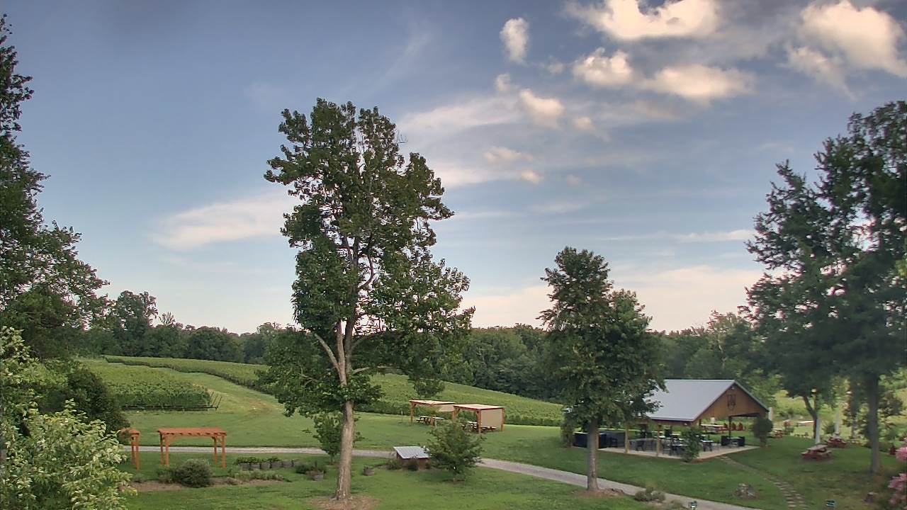 Thumbnail for current weather camera view from Dodon Vineyards in Davidsonville, Maryland