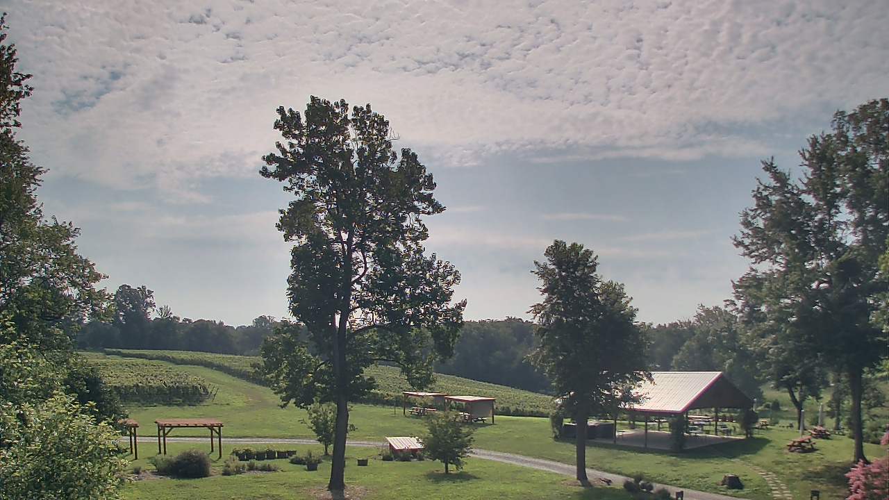 Thumbnail for current weather camera view from Dodon Vineyards in Davidsonville, Maryland