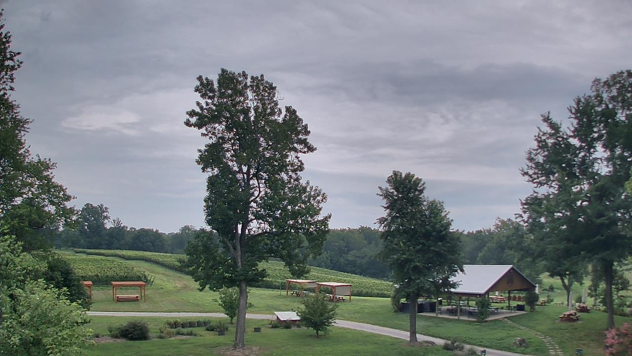 Thumbnail for current weather camera view from Dodon Vineyards in Davidsonville, Maryland