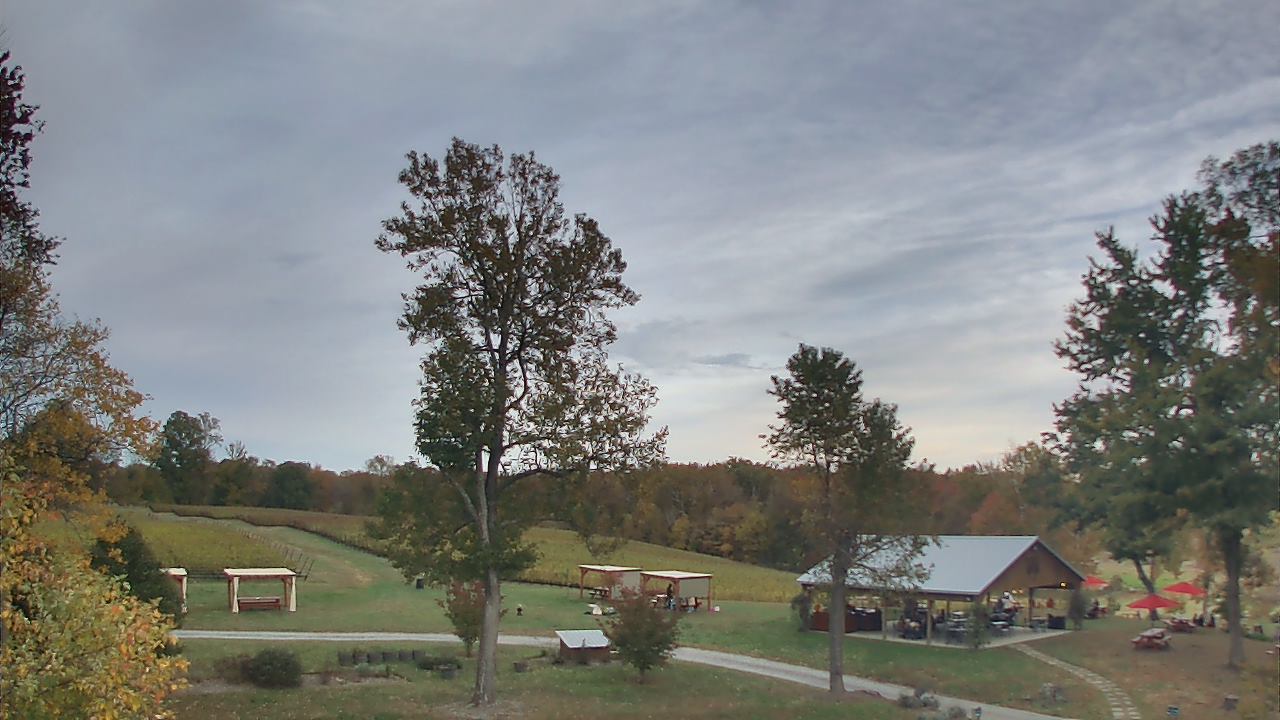 Thumbnail for current weather camera view from Dodon Vineyards in Davidsonville, Maryland