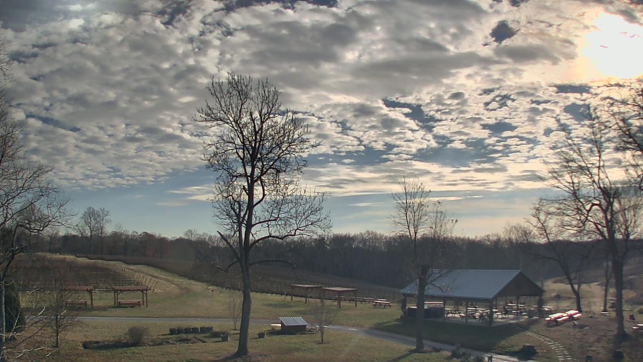 Thumbnail for current weather camera view from Dodon Vineyards in Davidsonville, Maryland