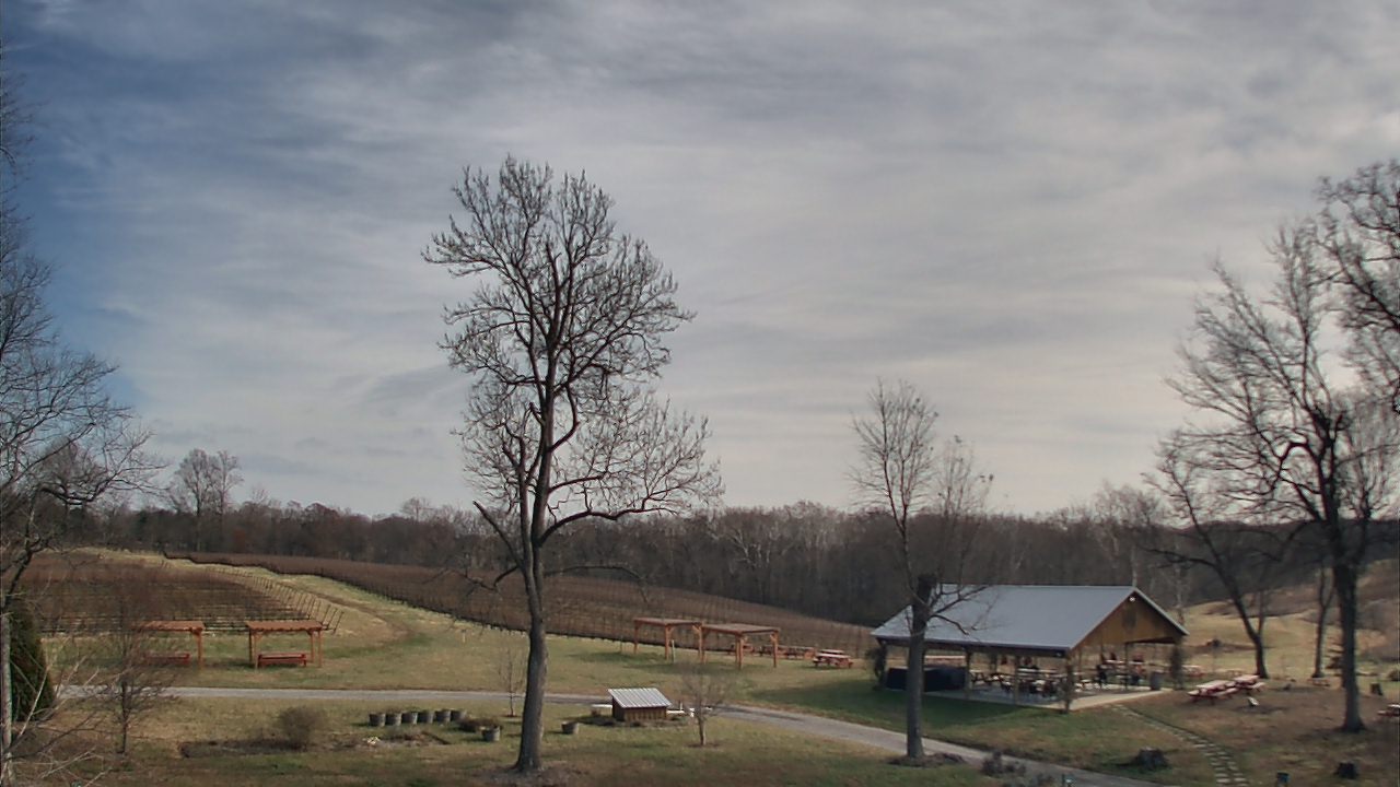 Thumbnail for current weather camera view from Dodon Vineyards in Davidsonville, Maryland