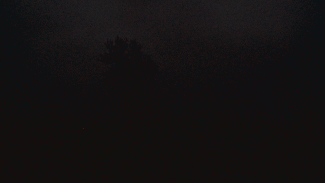 Thumbnail for current weather camera view from Dodon Vineyards in Davidsonville, Maryland