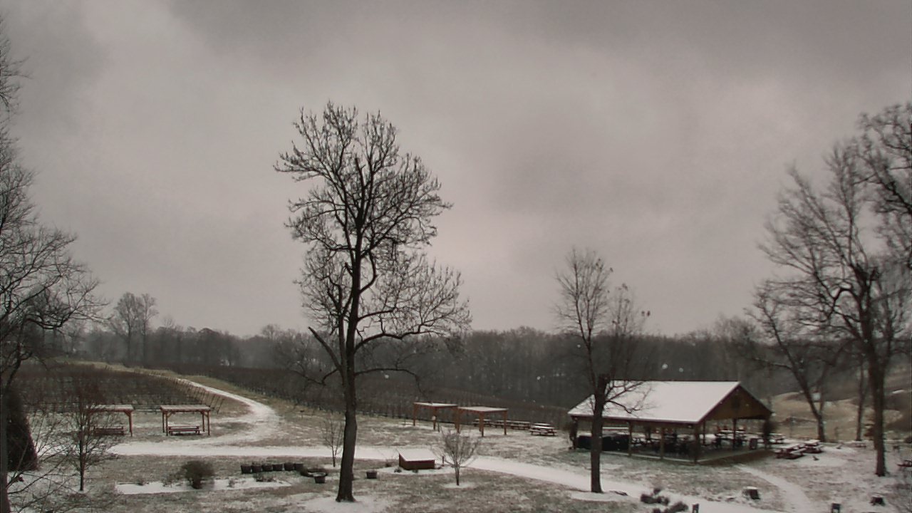 Thumbnail for current weather camera view from Dodon Vineyards in Davidsonville, Maryland