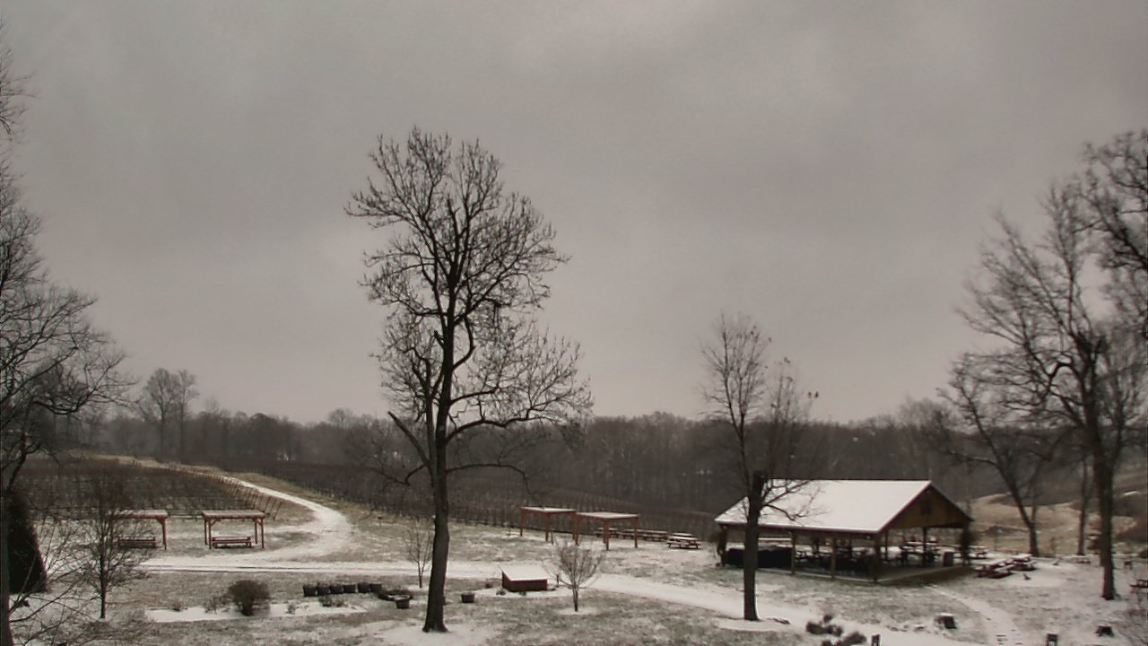 Thumbnail for current weather camera view from Dodon Vineyards in Davidsonville, Maryland