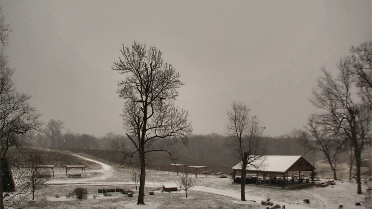 Thumbnail for current weather camera view from Dodon Vineyards in Davidsonville, Maryland