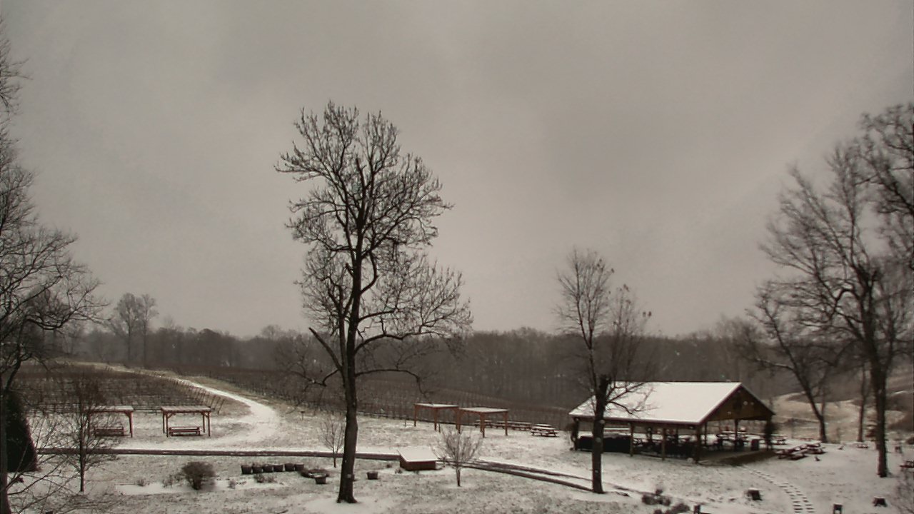 Thumbnail for current weather camera view from Dodon Vineyards in Davidsonville, Maryland