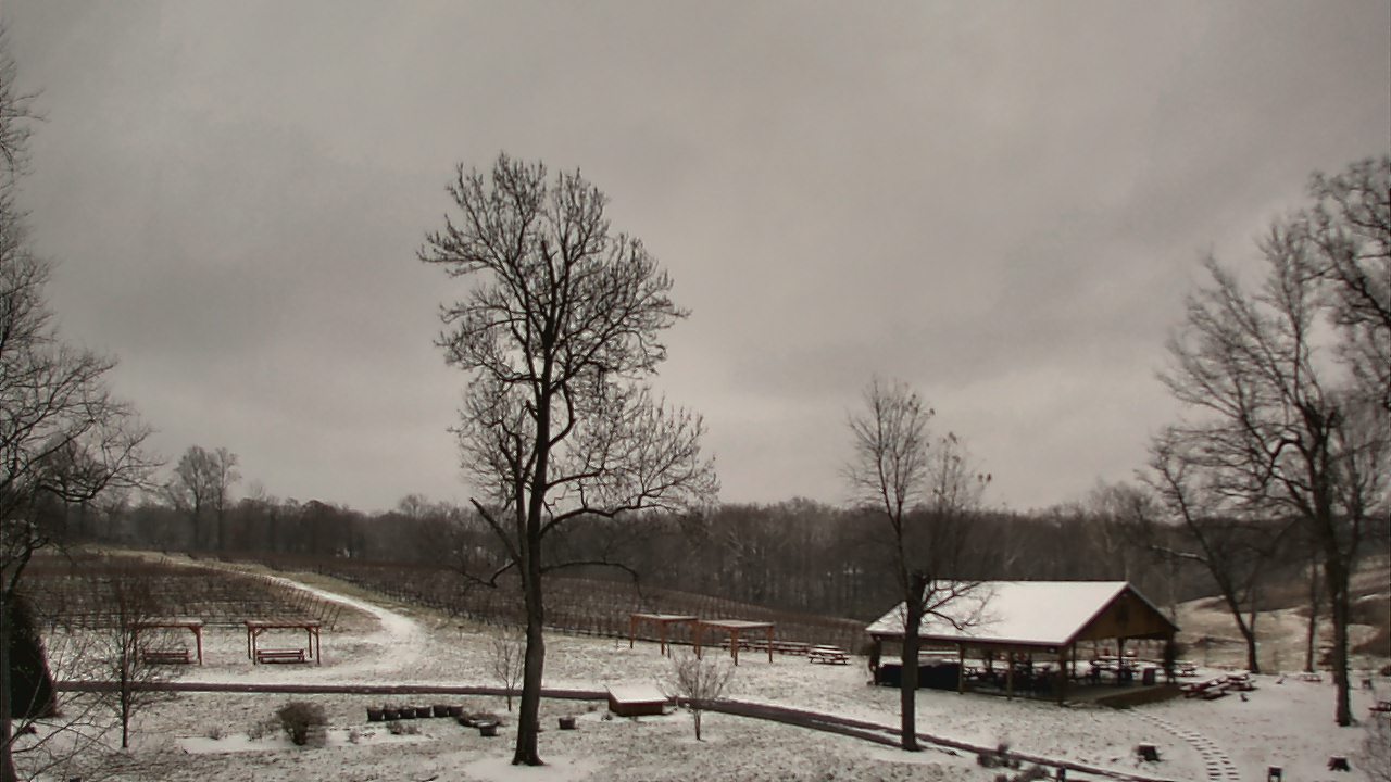 Thumbnail for current weather camera view from Dodon Vineyards in Davidsonville, Maryland