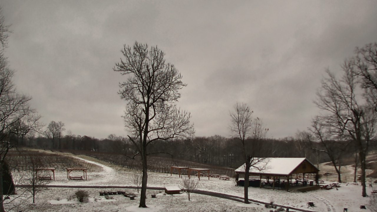 Thumbnail for current weather camera view from Dodon Vineyards in Davidsonville, Maryland