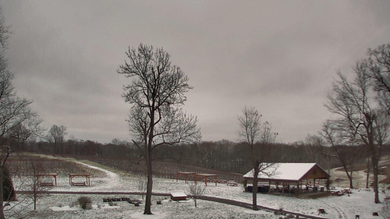 Thumbnail for current weather camera view from Dodon Vineyards in Davidsonville, Maryland