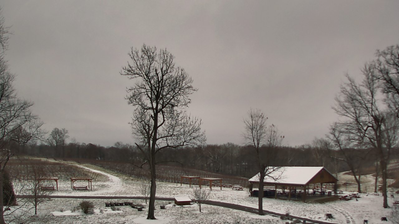Thumbnail for current weather camera view from Dodon Vineyards in Davidsonville, Maryland