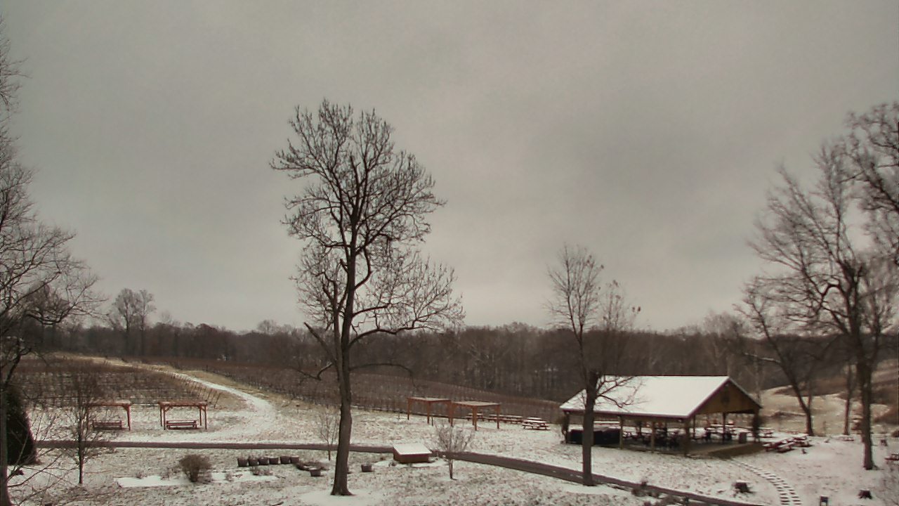 Thumbnail for current weather camera view from Dodon Vineyards in Davidsonville, Maryland