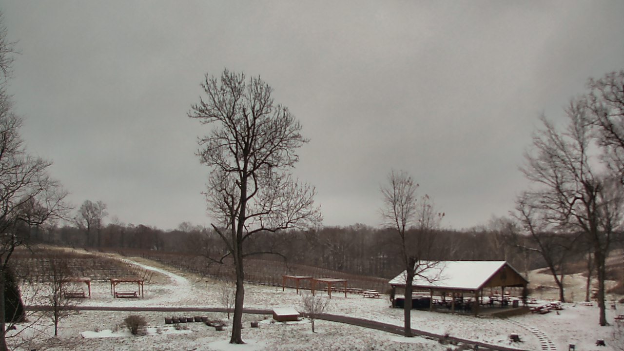 Thumbnail for current weather camera view from Dodon Vineyards in Davidsonville, Maryland