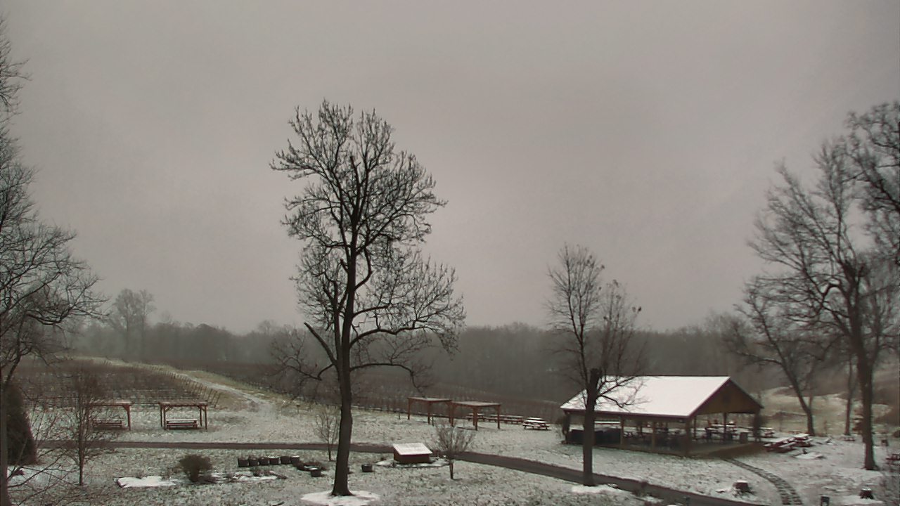 Thumbnail for current weather camera view from Dodon Vineyards in Davidsonville, Maryland