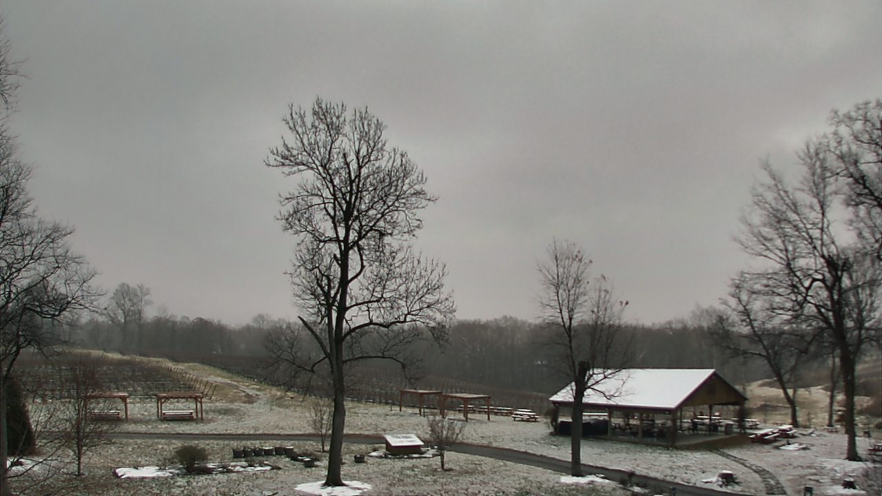 Thumbnail for current weather camera view from Dodon Vineyards in Davidsonville, Maryland