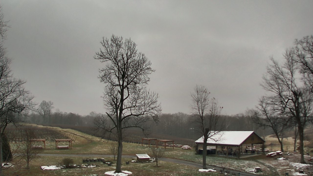 Thumbnail for current weather camera view from Dodon Vineyards in Davidsonville, Maryland