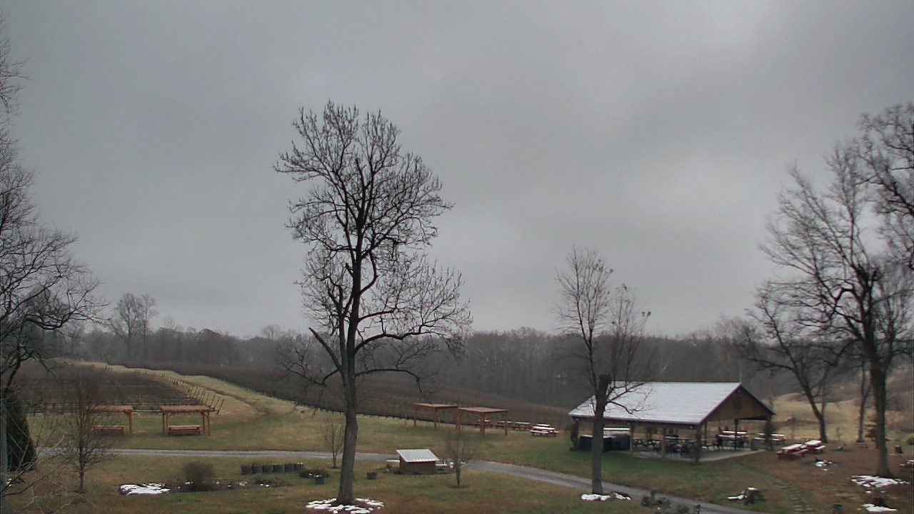 Thumbnail for current weather camera view from Dodon Vineyards in Davidsonville, Maryland