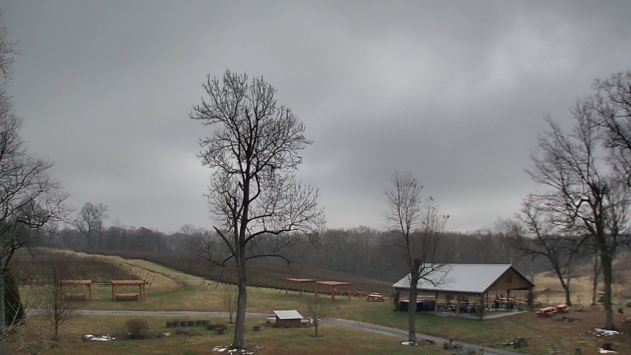 Thumbnail for current weather camera view from Dodon Vineyards in Davidsonville, Maryland