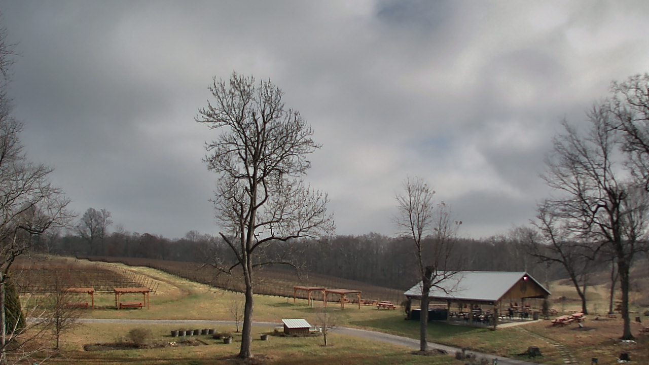 Thumbnail for current weather camera view from Dodon Vineyards in Davidsonville, Maryland