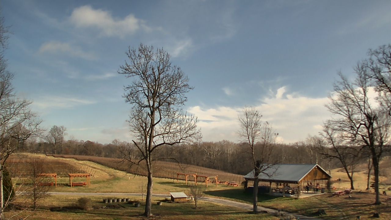 Thumbnail for current weather camera view from Dodon Vineyards in Davidsonville, Maryland