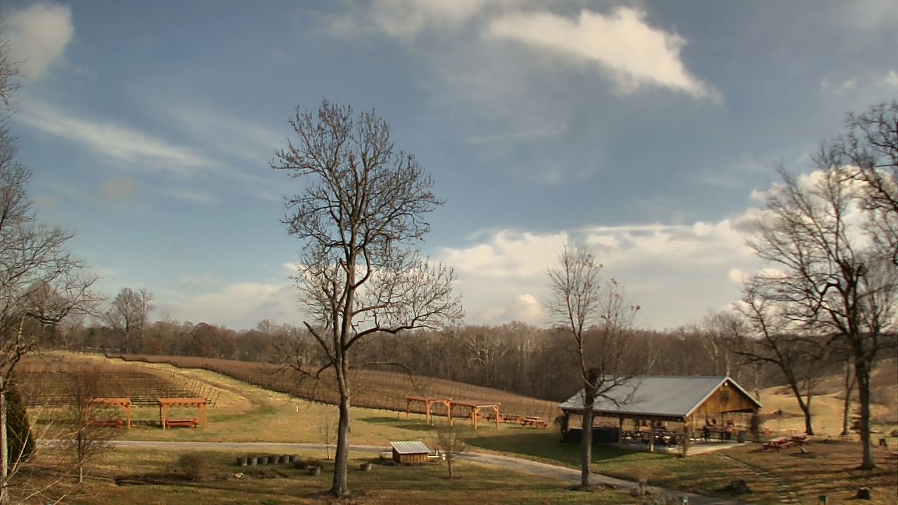 Thumbnail for current weather camera view from Dodon Vineyards in Davidsonville, Maryland