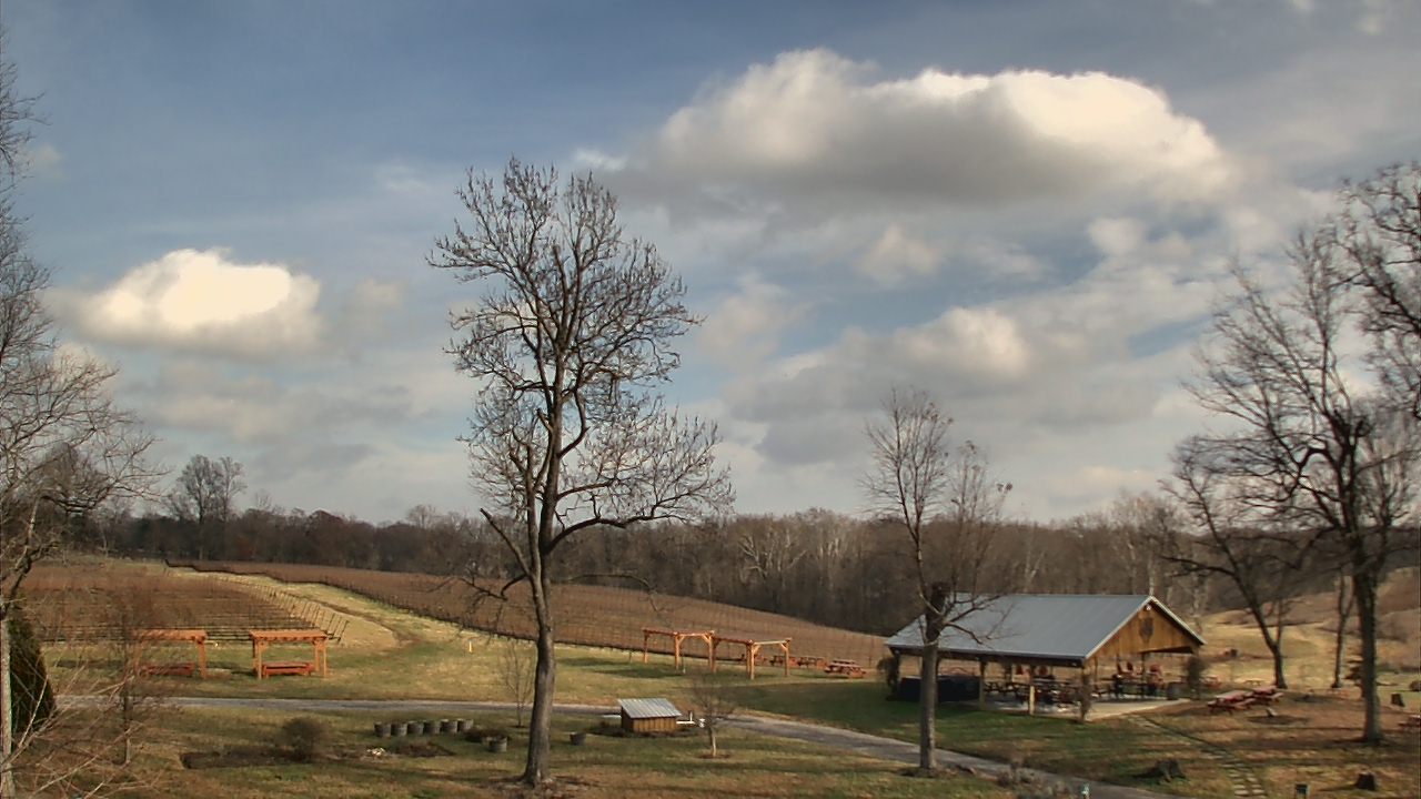 Thumbnail for current weather camera view from Dodon Vineyards in Davidsonville, Maryland