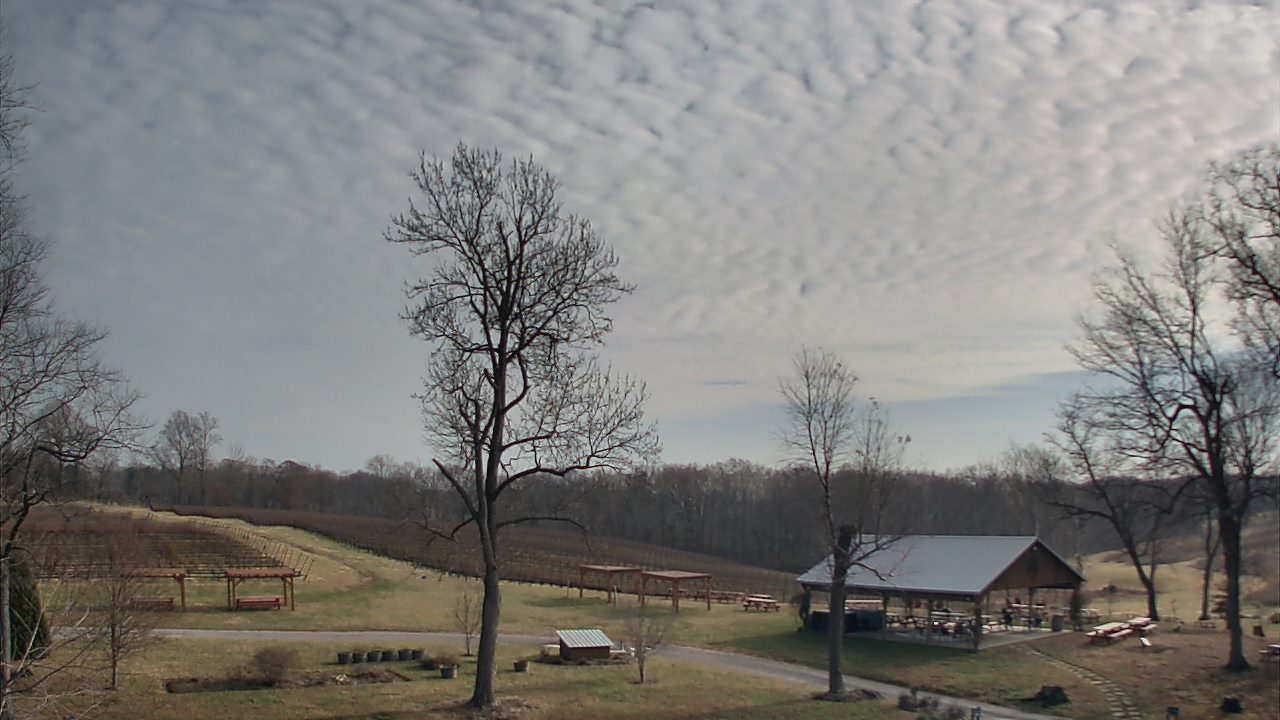Thumbnail for current weather camera view from Dodon Vineyards in Davidsonville, Maryland