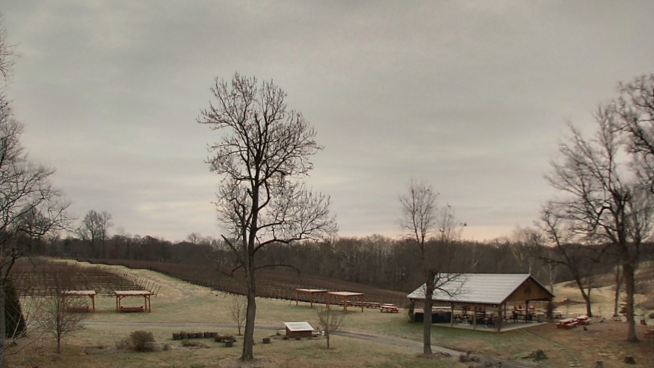 Thumbnail for current weather camera view from Dodon Vineyards in Davidsonville, Maryland