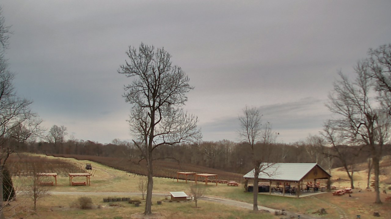 Thumbnail for current weather camera view from Dodon Vineyards in Davidsonville, Maryland