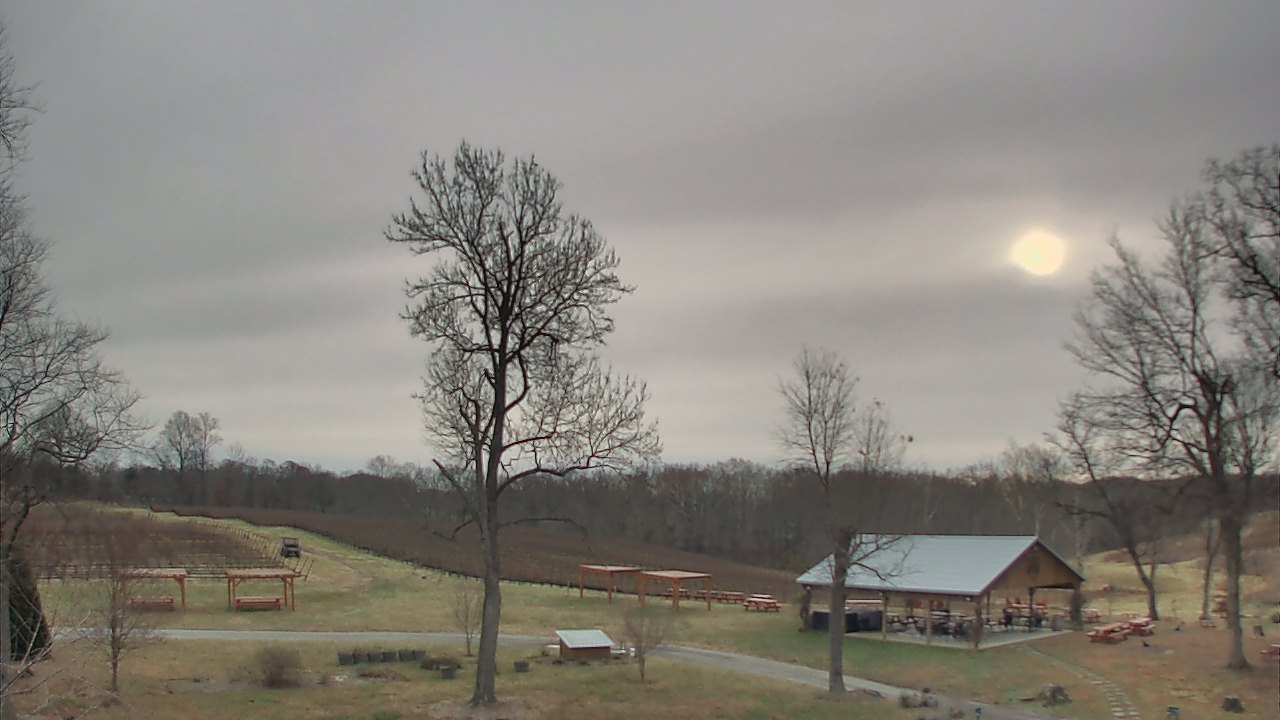 Thumbnail for current weather camera view from Dodon Vineyards in Davidsonville, Maryland