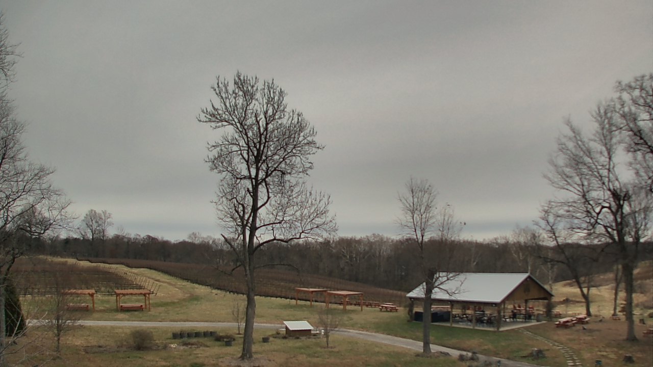 Thumbnail for current weather camera view from Dodon Vineyards in Davidsonville, Maryland