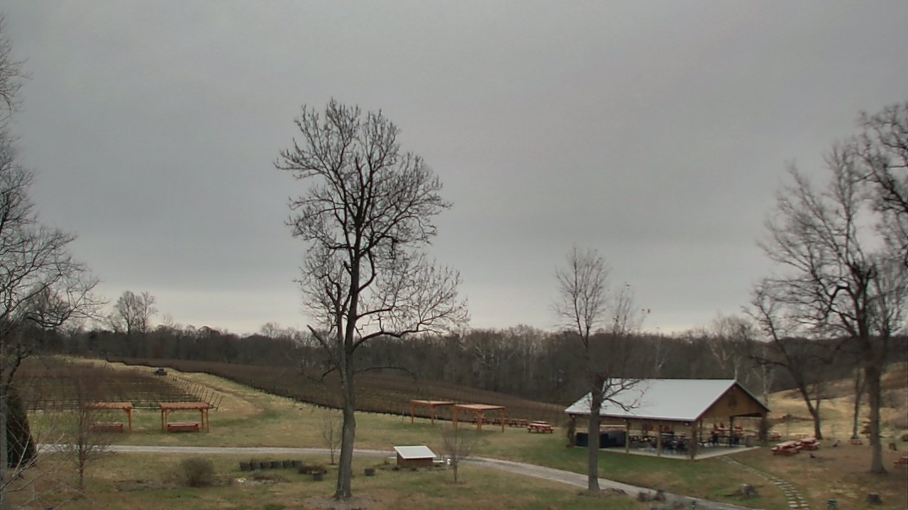 Thumbnail for current weather camera view from Dodon Vineyards in Davidsonville, Maryland