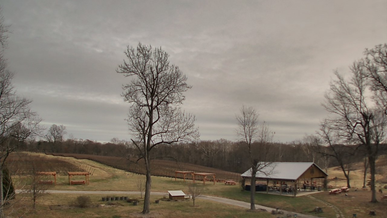 Thumbnail for current weather camera view from Dodon Vineyards in Davidsonville, Maryland