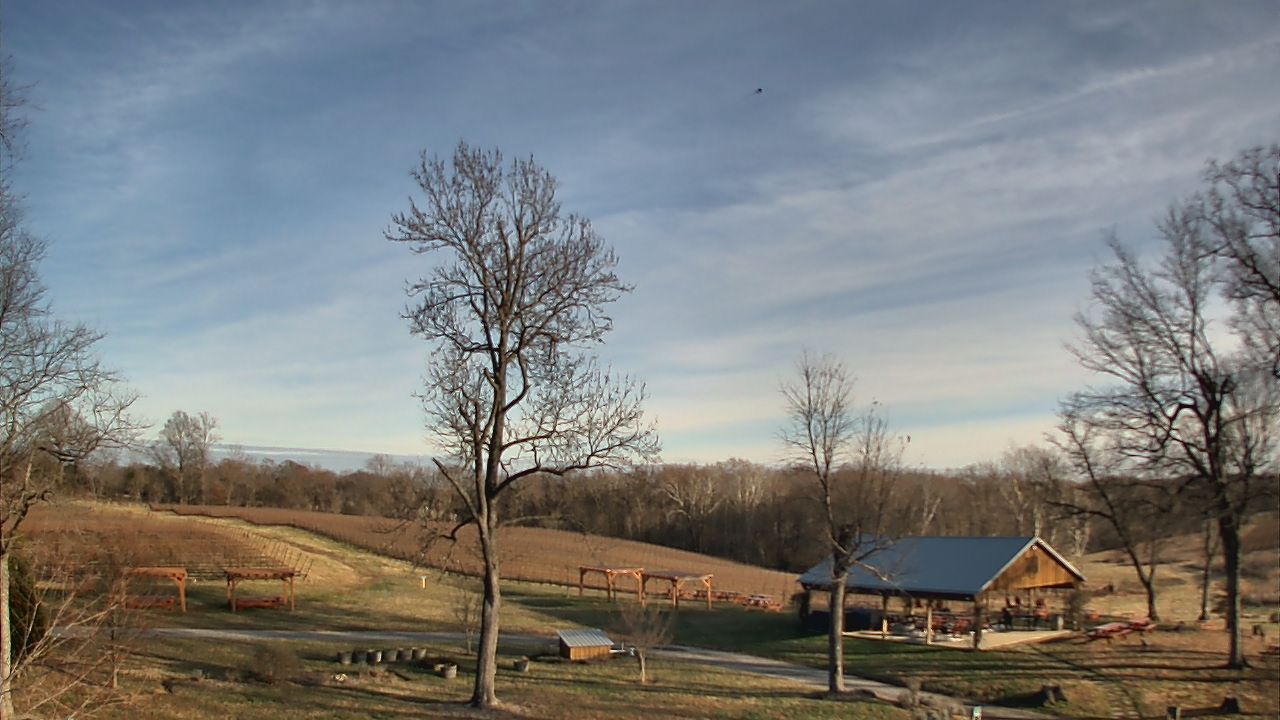 Thumbnail for current weather camera view from Dodon Vineyards in Davidsonville, Maryland