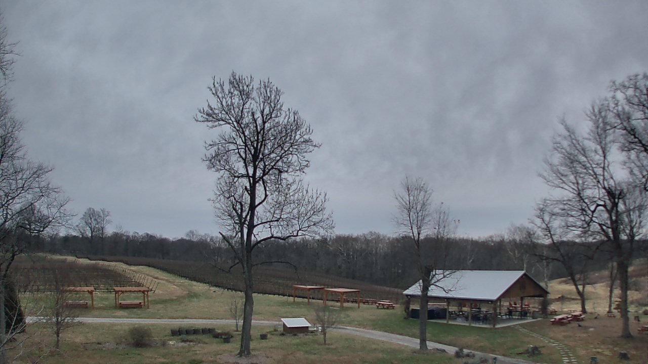 Thumbnail for current weather camera view from Dodon Vineyards in Davidsonville, Maryland