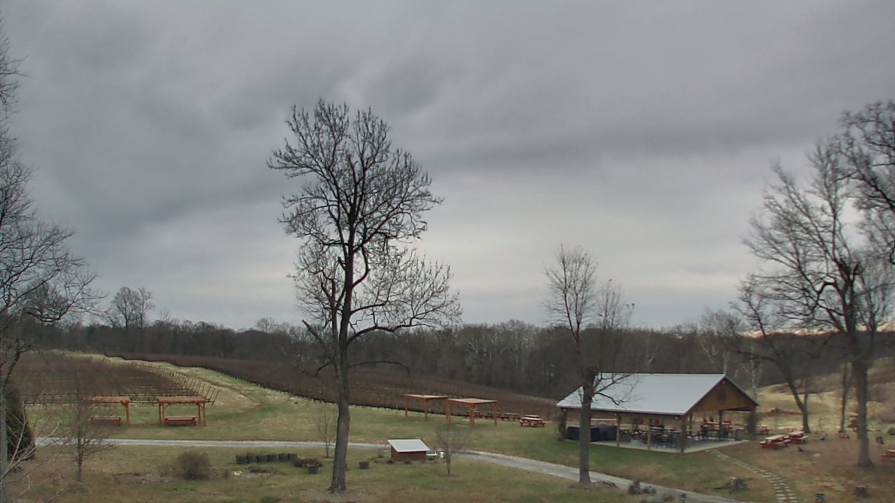 Thumbnail for current weather camera view from Dodon Vineyards in Davidsonville, Maryland