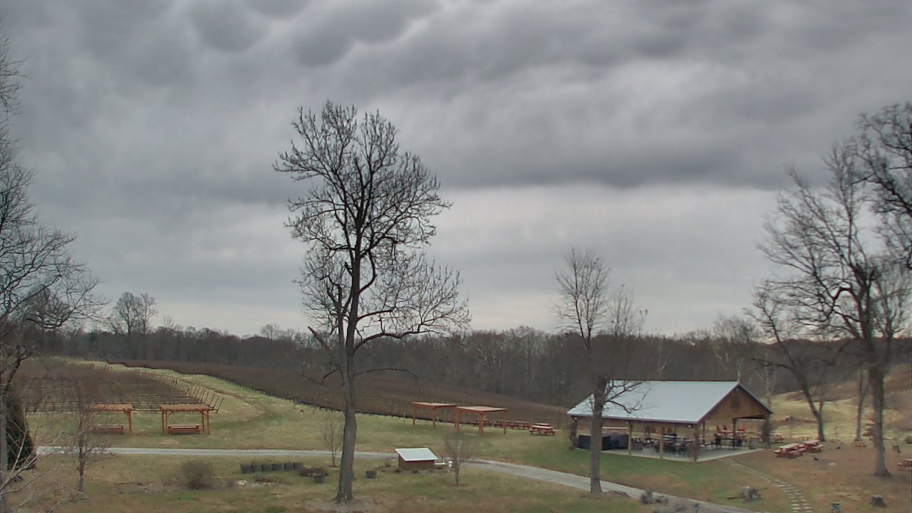 Thumbnail for current weather camera view from Dodon Vineyards in Davidsonville, Maryland