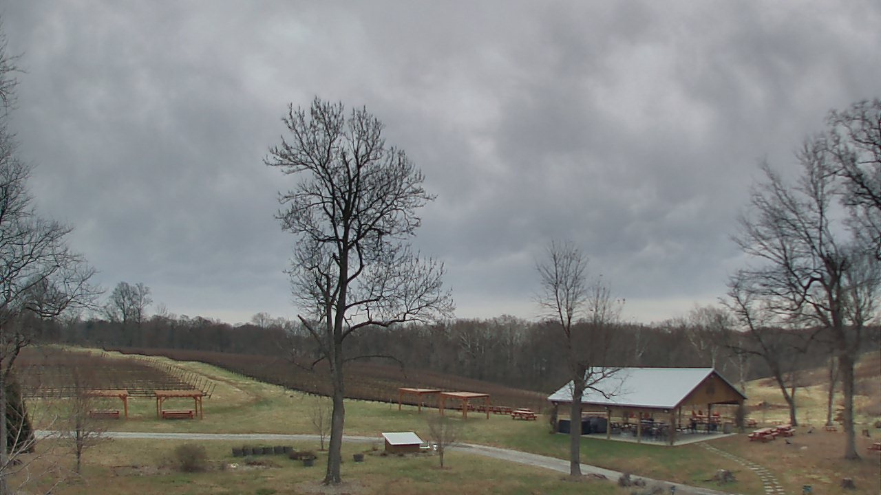 Thumbnail for current weather camera view from Dodon Vineyards in Davidsonville, Maryland