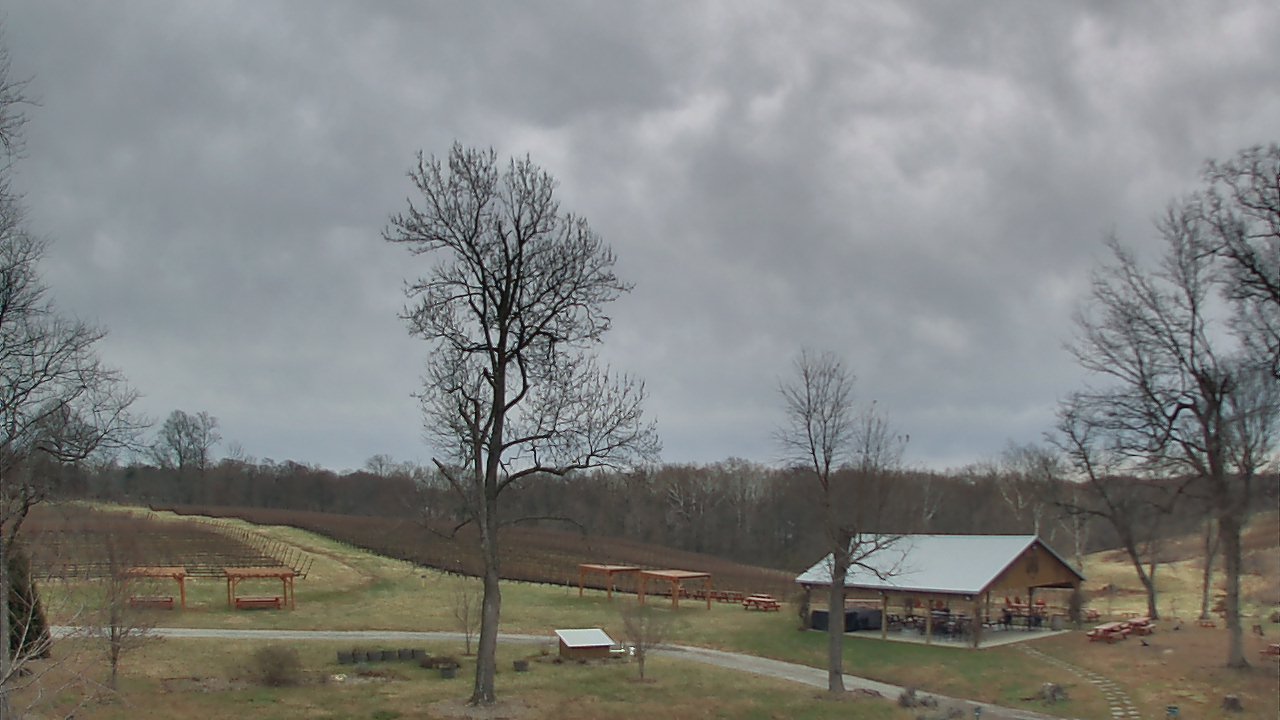 Thumbnail for current weather camera view from Dodon Vineyards in Davidsonville, Maryland