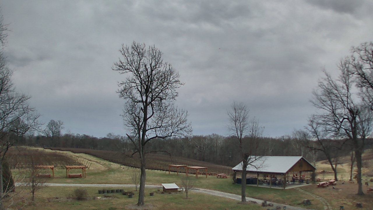 Thumbnail for current weather camera view from Dodon Vineyards in Davidsonville, Maryland