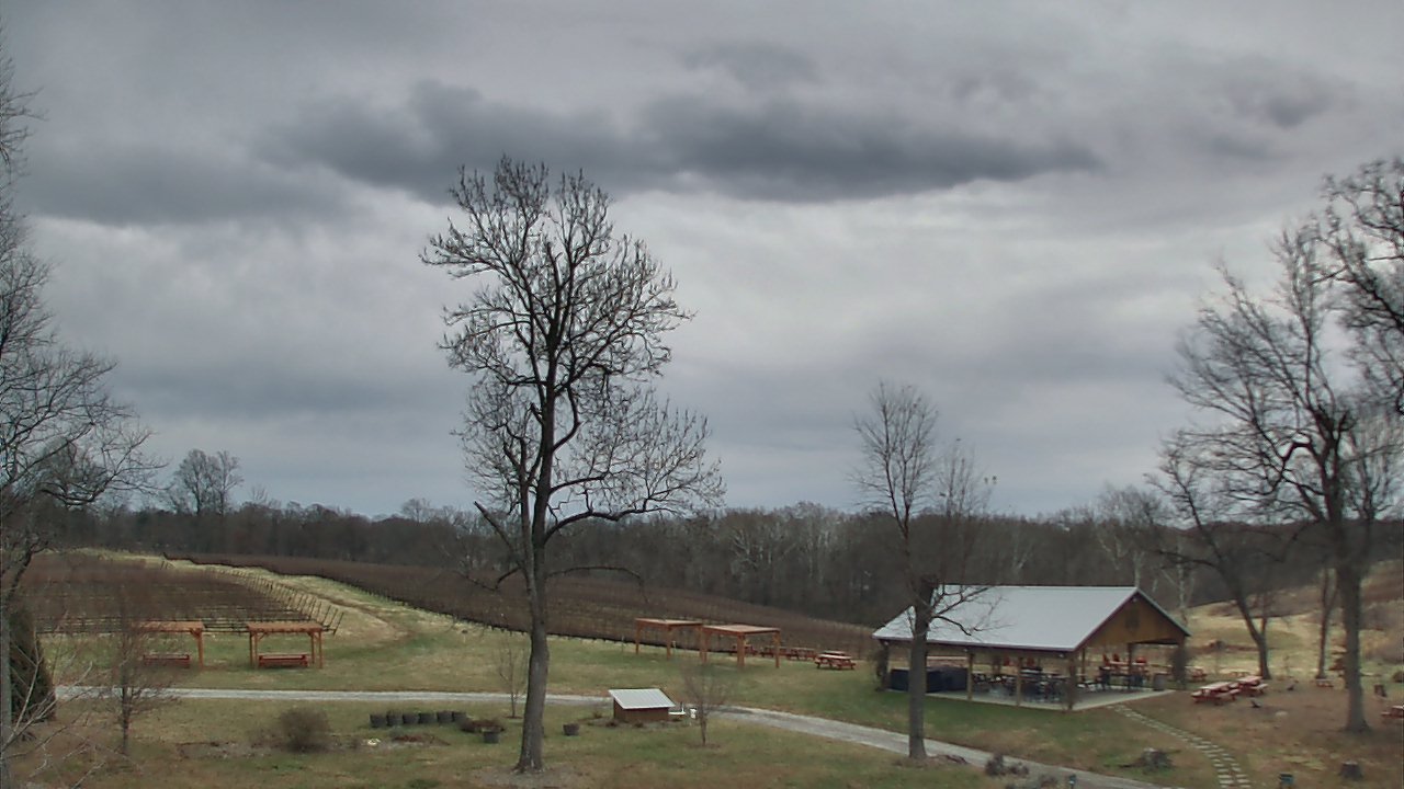 Thumbnail for current weather camera view from Dodon Vineyards in Davidsonville, Maryland