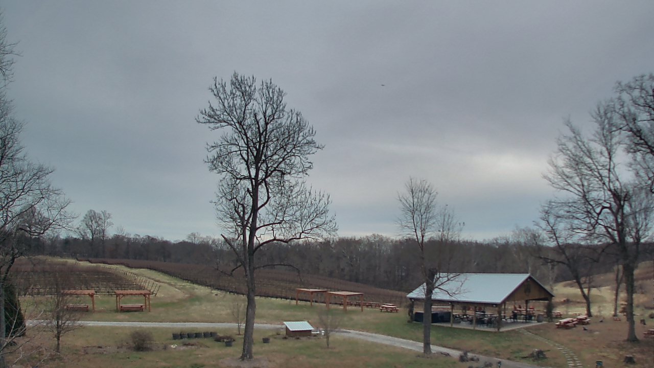 Thumbnail for current weather camera view from Dodon Vineyards in Davidsonville, Maryland