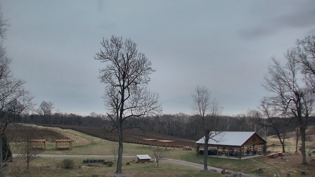 Thumbnail for current weather camera view from Dodon Vineyards in Davidsonville, Maryland